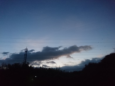 f:id:cotton1010:20200122062424j:plain f:id:cotton1010:20200122062424j:plain