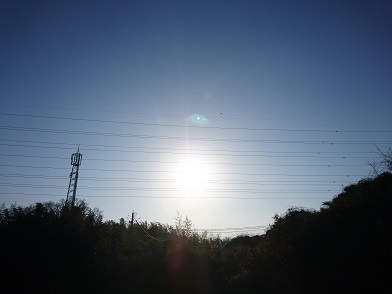 f:id:cotton1010:20200208082254j:plain f:id:cotton1010:20200208082254j:plain