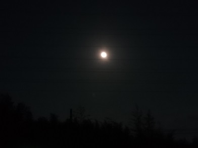 f:id:cotton1010:20200409213151j:plain