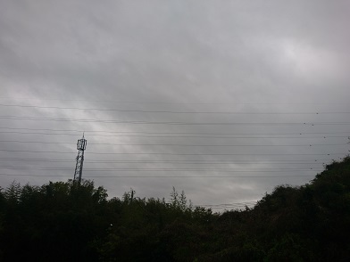 f:id:cotton1010:20200420062542j:plain f:id:cotton1010:20200420062542j:plain