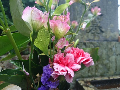 f:id:cotton1010:20200510094400j:plain
