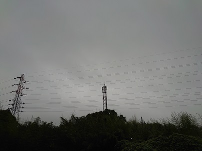 f:id:cotton1010:20200709054852j:plain f:id:cotton1010:20200709054852j:plain