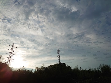 f:id:cotton1010:20200722055652j:plain f:id:cotton1010:20200722055652j:plain