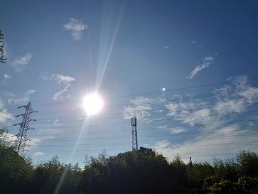 f:id:cotton1010:20200810071405j:plain f:id:cotton1010:20200810071405j:plain