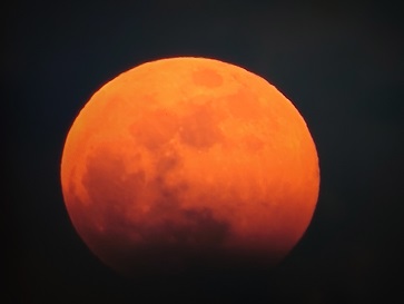 f:id:cotton1010:20210526205700j:plain