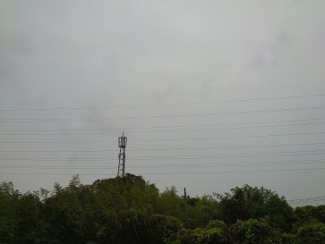 f:id:cotton1010:20210527054755j:plain