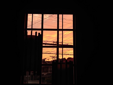 f:id:cotton1010:20210621191357j:plain