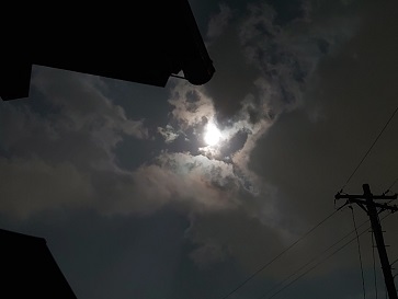 f:id:cotton1010:20210623224513j:plain