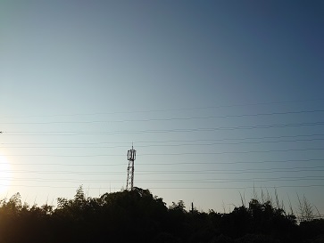 f:id:cotton1010:20210624055111j:plain