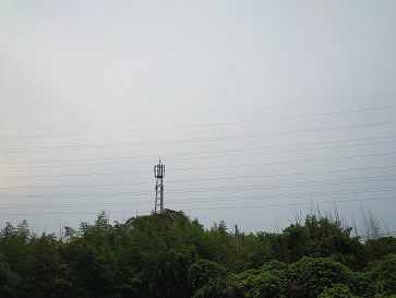 f:id:cotton1010:20210625055555j:plain