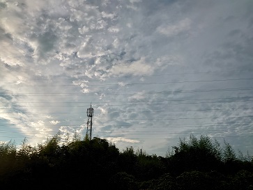 f:id:cotton1010:20210728054658j:plain