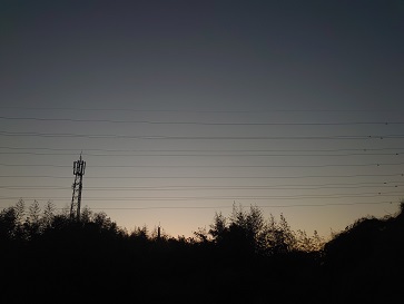 f:id:cotton1010:20220122065801j:plain