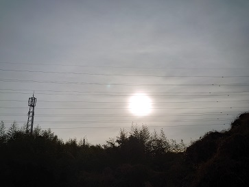 f:id:cotton1010:20220123085124j:plain