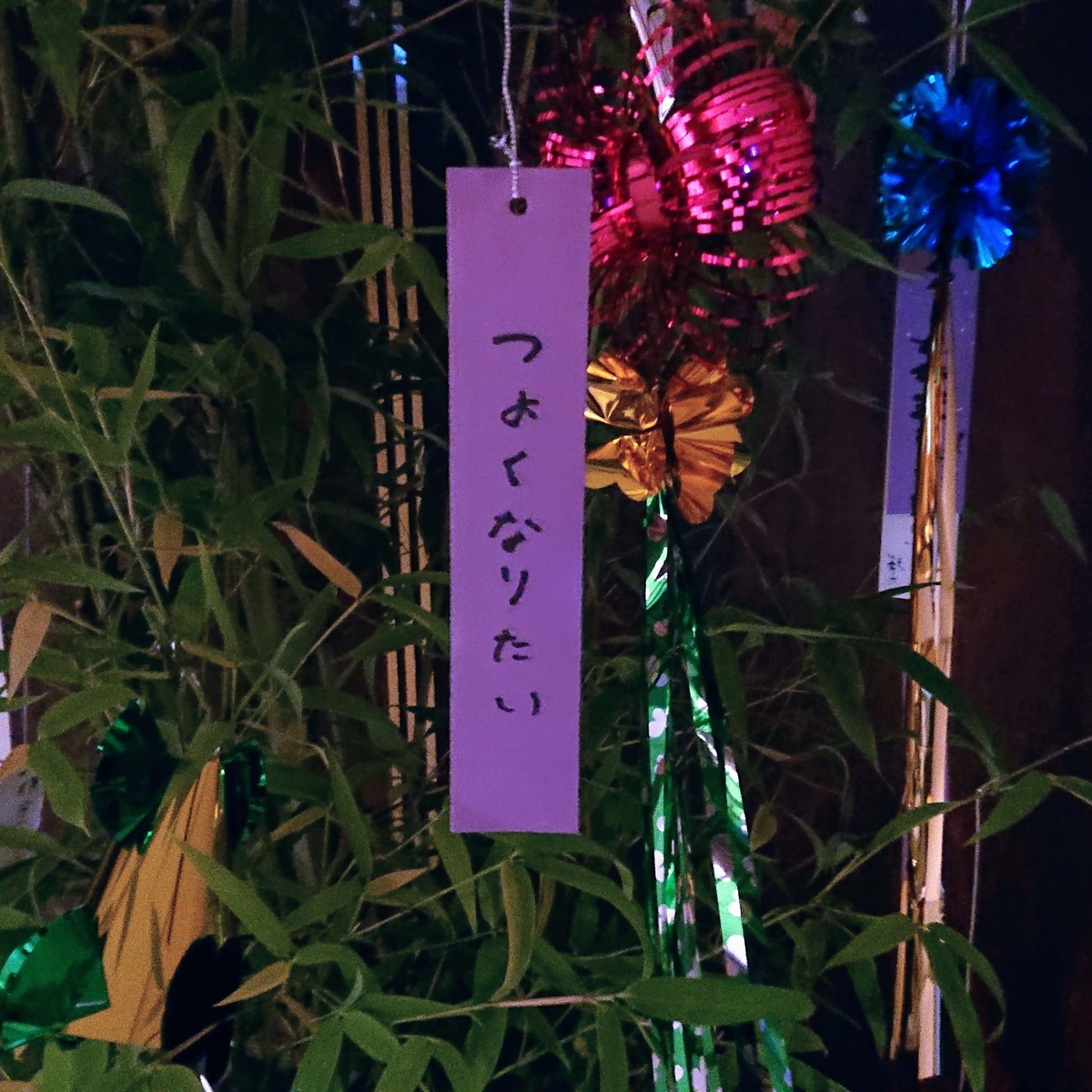 f:id:cotton_san:20210705013653j:plain