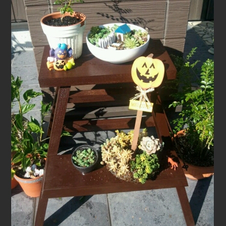 f:id:cottonpotaki:20121012093436j:image
