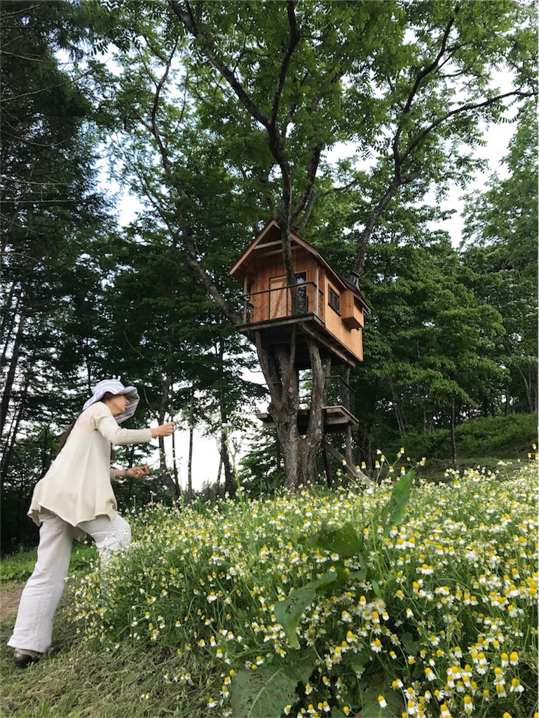 f:id:cottonsnow151e:20170610204157j:image f:id:cottonsnow151e:20170610204157j:image