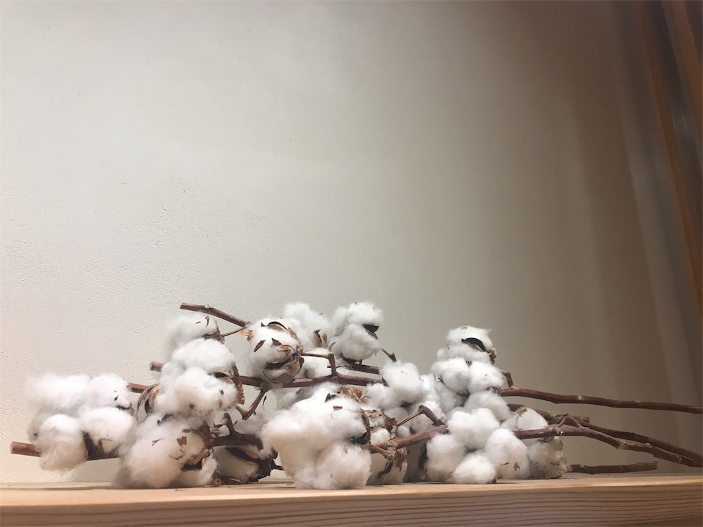 f:id:cottonsnow151e:20170610220211j:image f:id:cottonsnow151e:20170610220211j:image