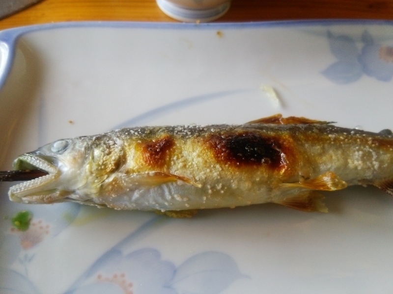 イメージ 7