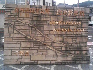 イメージ 5