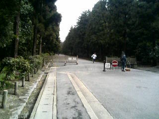 イメージ 5