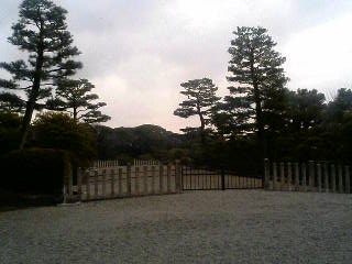 イメージ 7