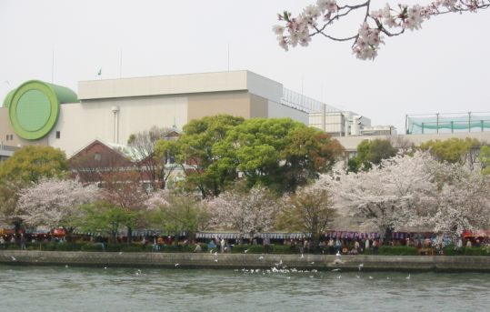 イメージ 3