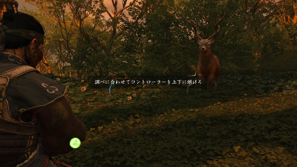 f:id:coublood:20210912144934j:plain