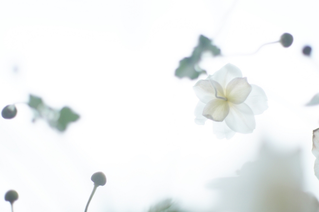 f:id:couleurnoor:20171017123134j:plain f:id:couleurnoor:20171017123134j:plain