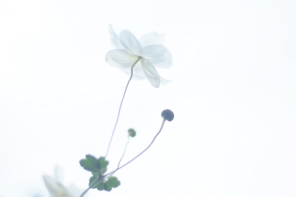 f:id:couleurnoor:20171017123140j:plain f:id:couleurnoor:20171017123140j:plain
