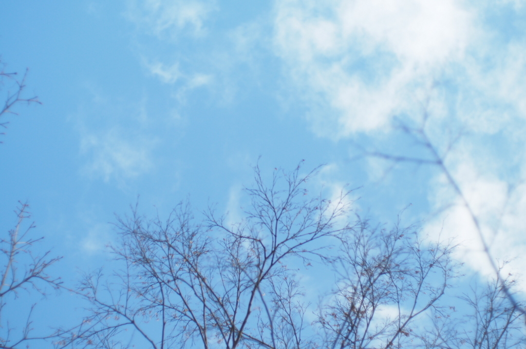 f:id:couleurnoor:20171130125910j:plain