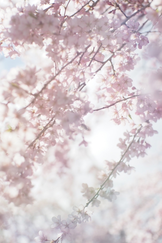 f:id:couleurnoor:20171230125250j:plain f:id:couleurnoor:20171230125250j:plain