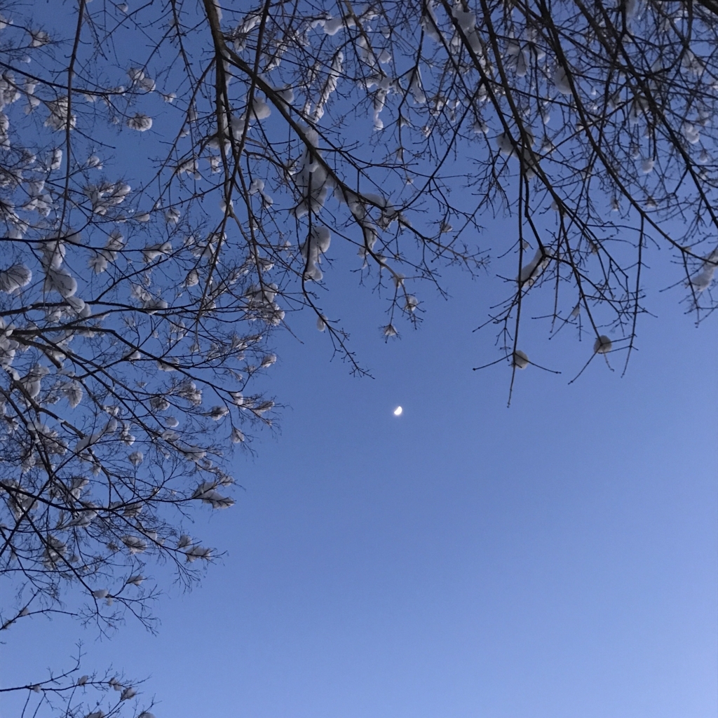 f:id:couleurnoor:20180227161236j:plain