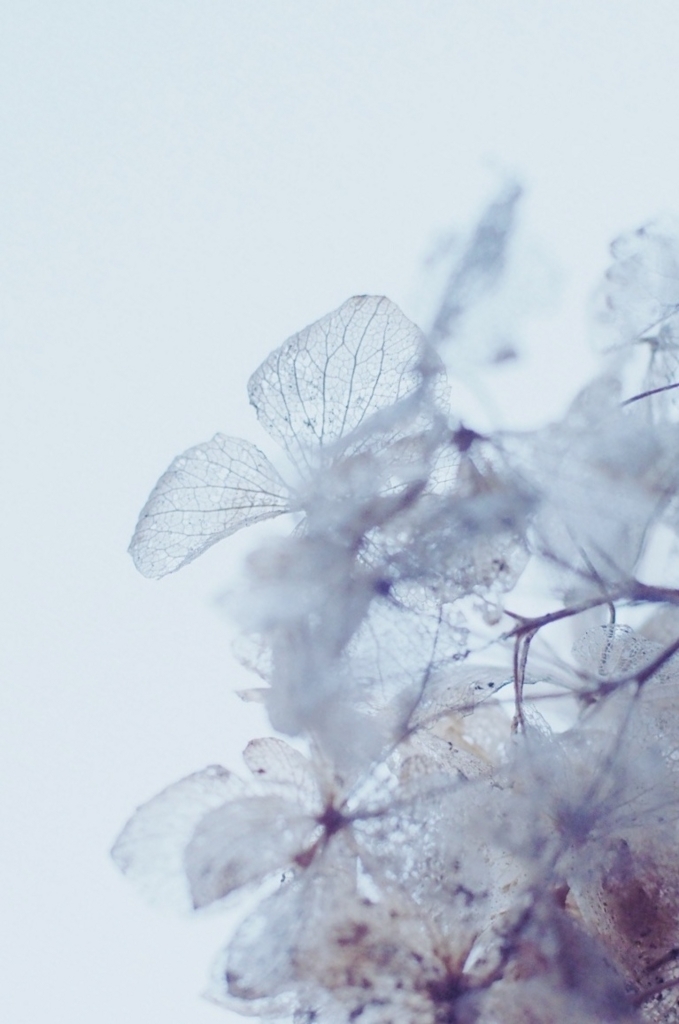 f:id:couleurnoor:20180413161117j:plain f:id:couleurnoor:20180413161117j:plain