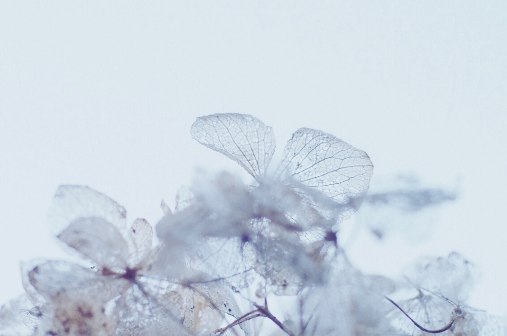 f:id:couleurnoor:20180413161153j:plain