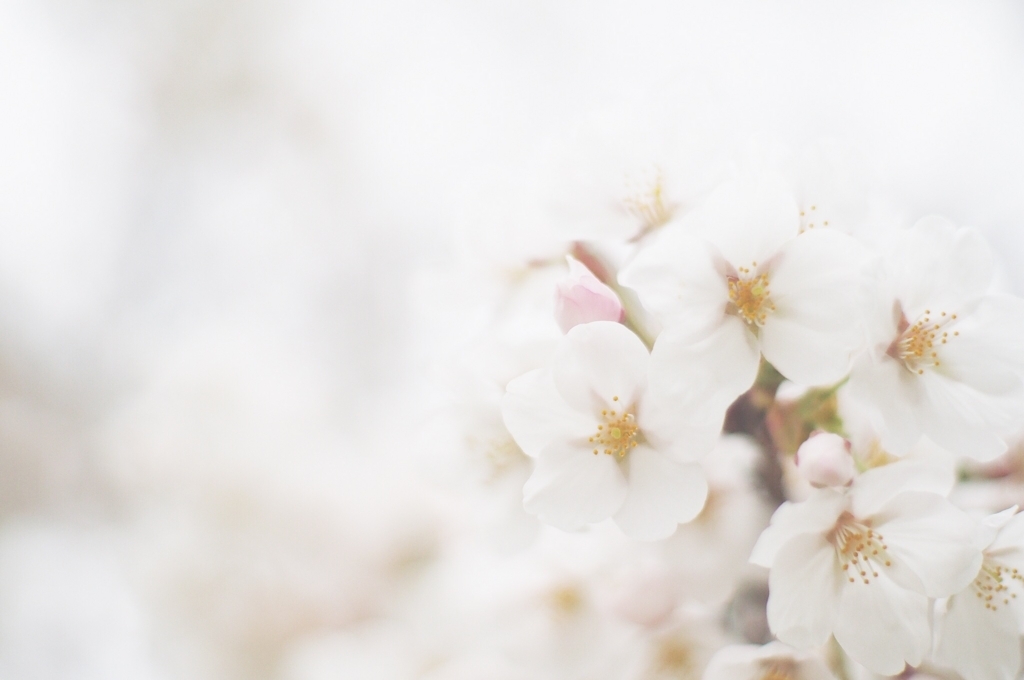 f:id:couleurnoor:20180418163704j:plain f:id:couleurnoor:20180418163704j:plain