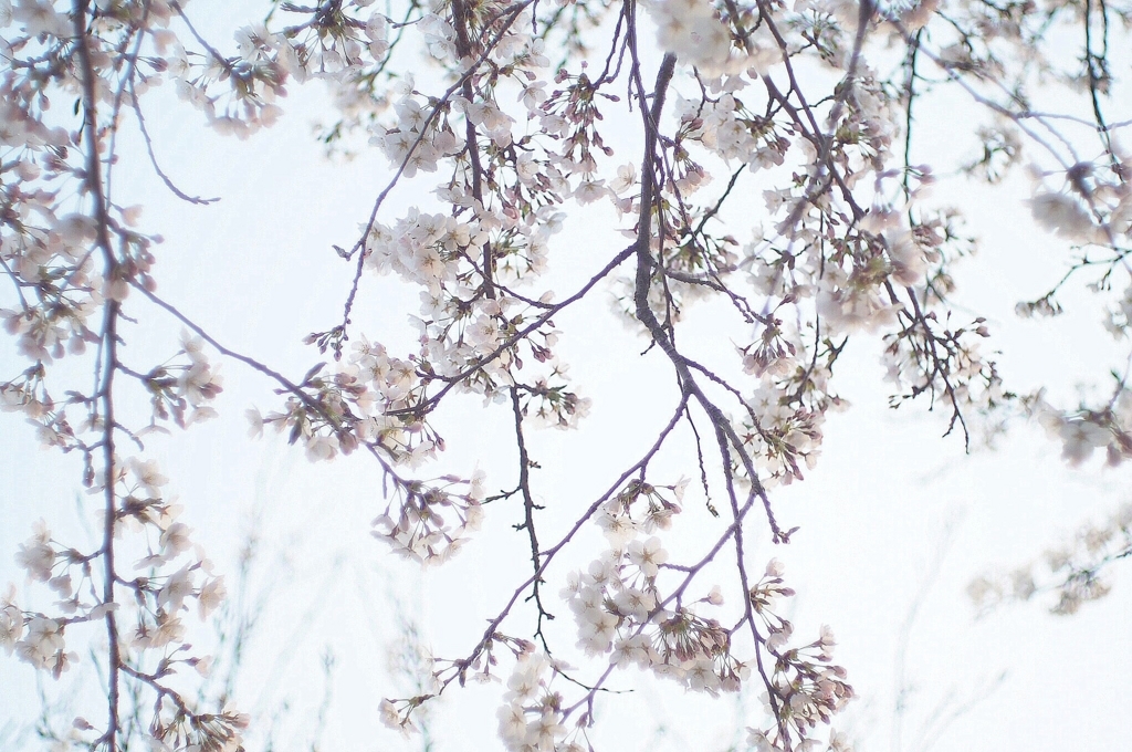 f:id:couleurnoor:20180422013944j:plain