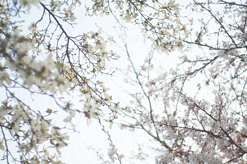 f:id:couleurnoor:20180422014007j:plain