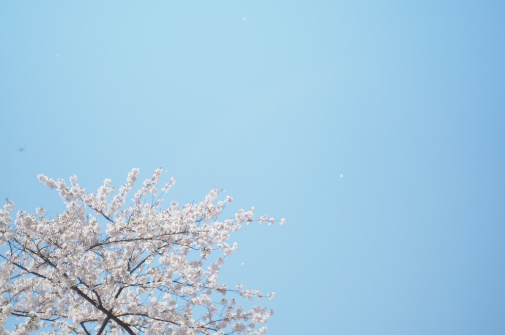 f:id:couleurnoor:20180430153441j:plain f:id:couleurnoor:20180430153441j:plain