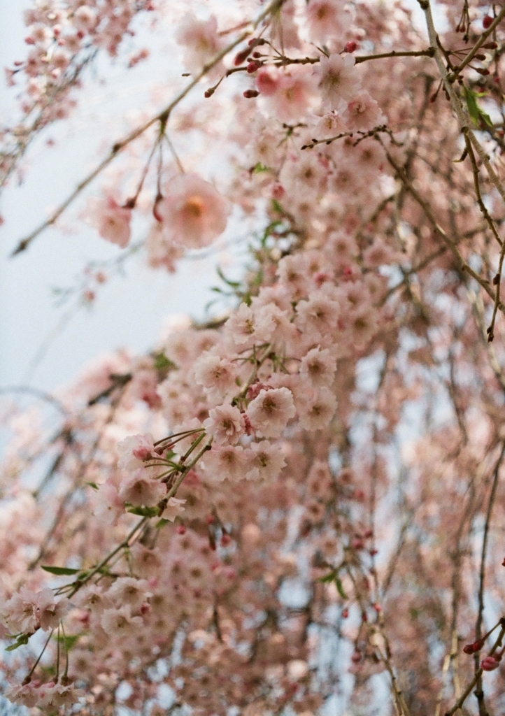 f:id:couleurnoor:20180507154540j:plain