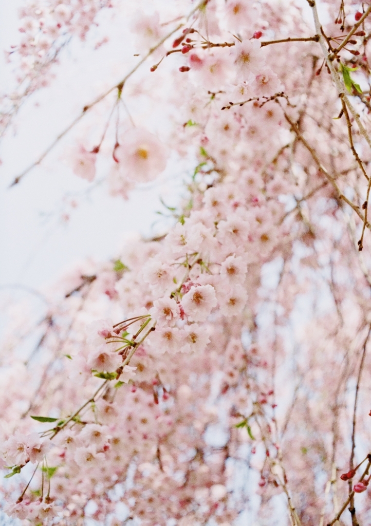 f:id:couleurnoor:20180507162342j:plain