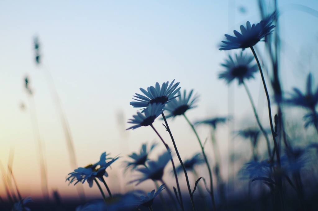 f:id:couleurnoor:20180529132409j:plain