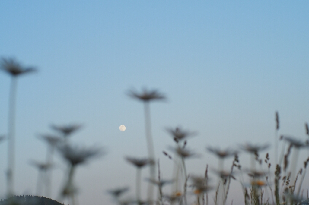f:id:couleurnoor:20180529132521j:plain