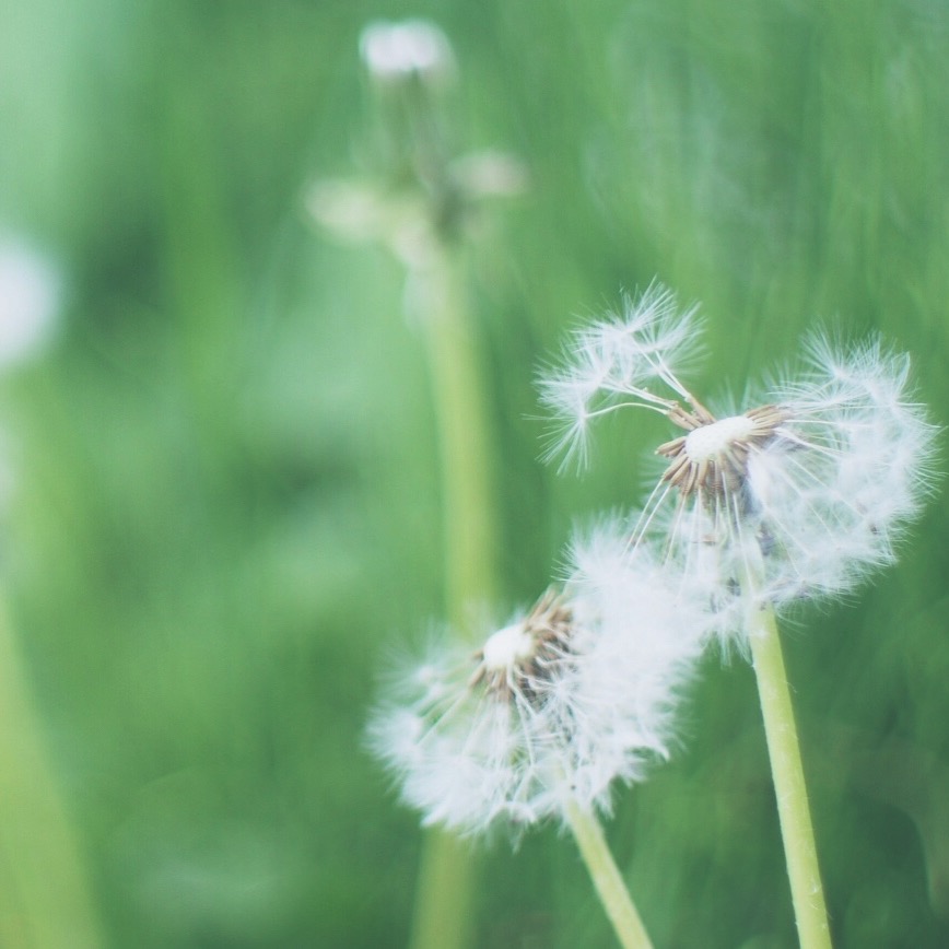 f:id:couleurnoor:20180601140655j:plain