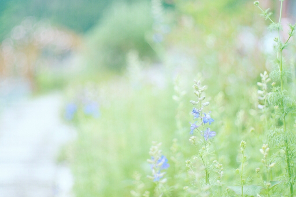 f:id:couleurnoor:20180616153752j:plain f:id:couleurnoor:20180616153752j:plain