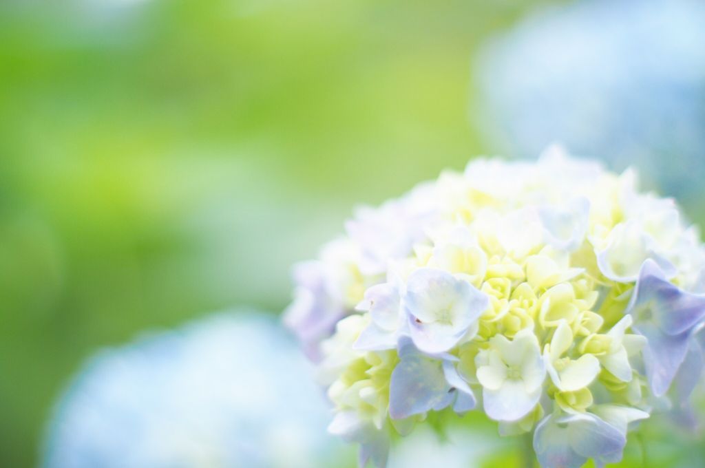 f:id:couleurnoor:20180707152018j:plain