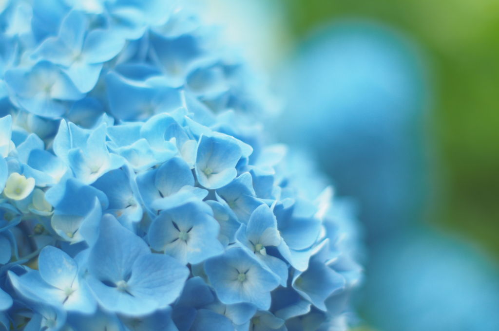 f:id:couleurnoor:20180707153629j:plain