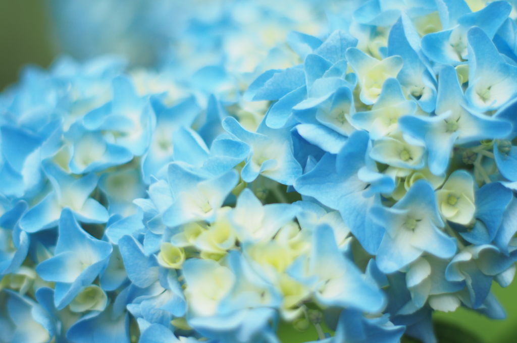 f:id:couleurnoor:20180707154548j:plain