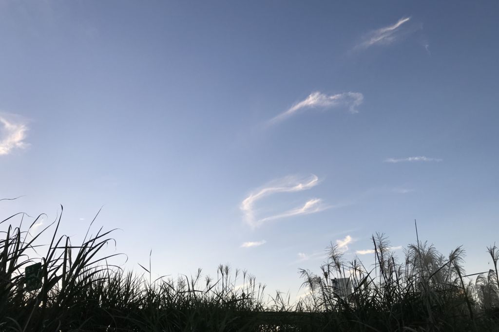 f:id:couleurnoor:20180822164829j:plain