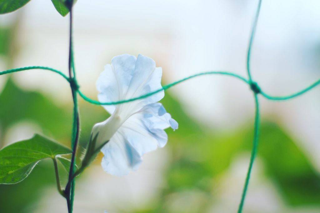 f:id:couleurnoor:20180824124858j:plain