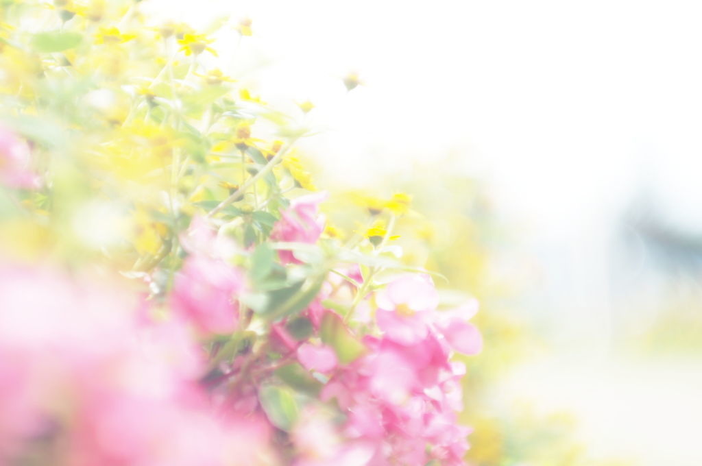 f:id:couleurnoor:20180910160811j:plain